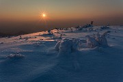 _MG_9584