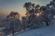 _MG_9590