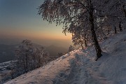 _MG_9592