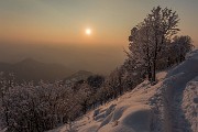 _MG_9596