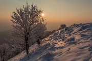 _MG_9599