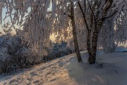 _MG_9613