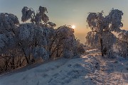 _MG_9622