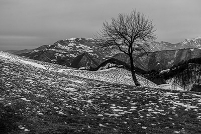 Aspettando la neve al CANTO ALTO - il 19 gennaio 2013  - FOTOGALLERY