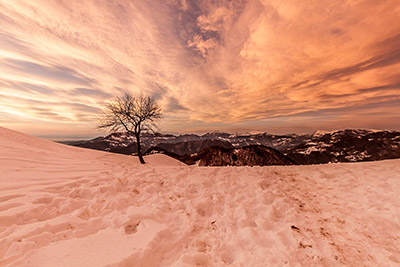 CANTO ALTO e PRATI PARINI - 23 dic. 2012 - FOTOGALLERY