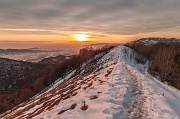 IMG_1812