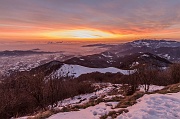 IMG_1916
