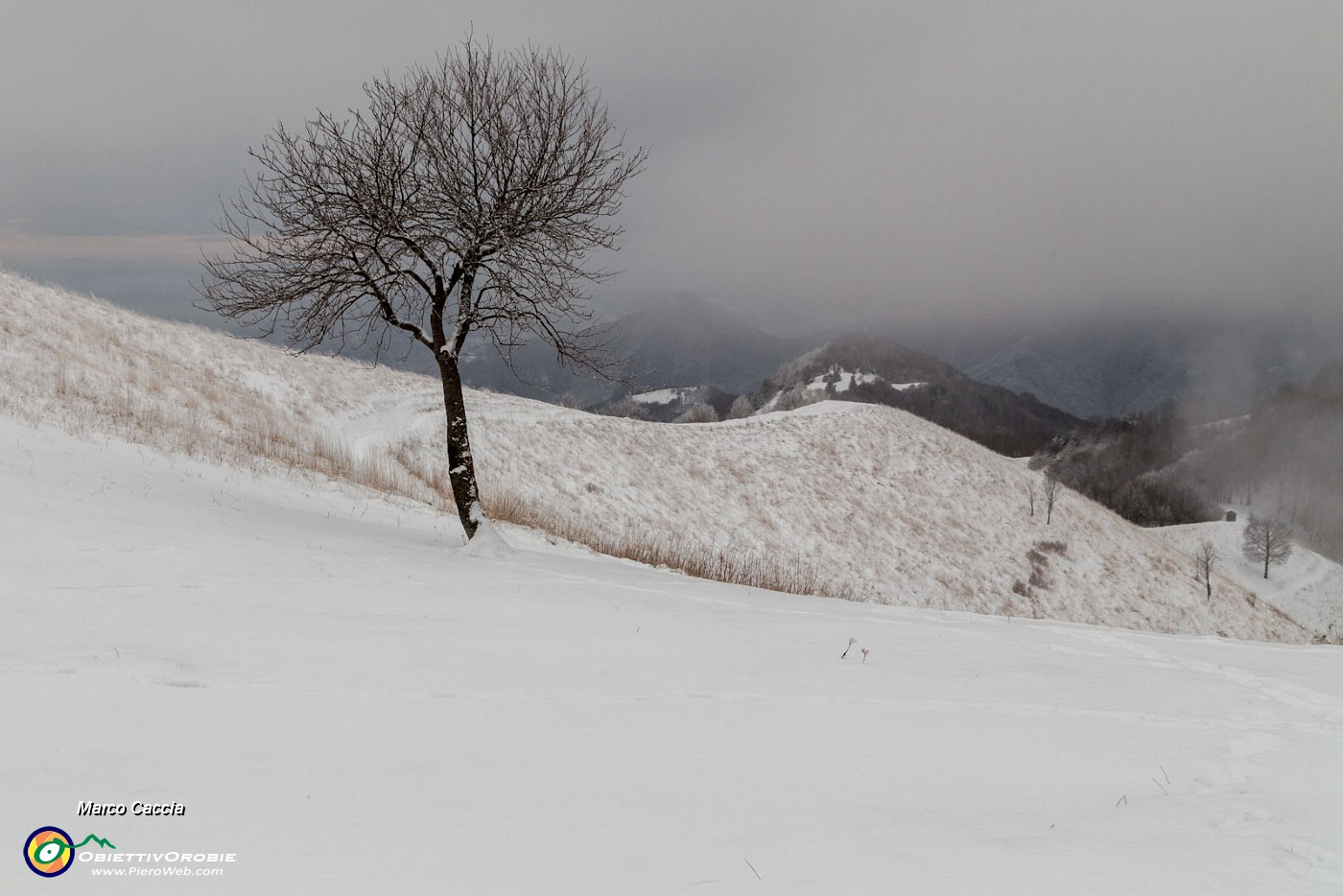 _MG_4027.JPG