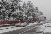 _MG_4003