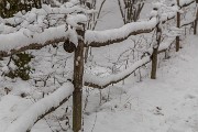 _MG_4021
