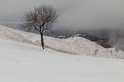 Sabato 27 Dicembre 2014 – M.te Canto Alto – Prati Parini   - FOTOGALLERY