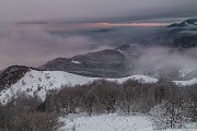 _MG_4037