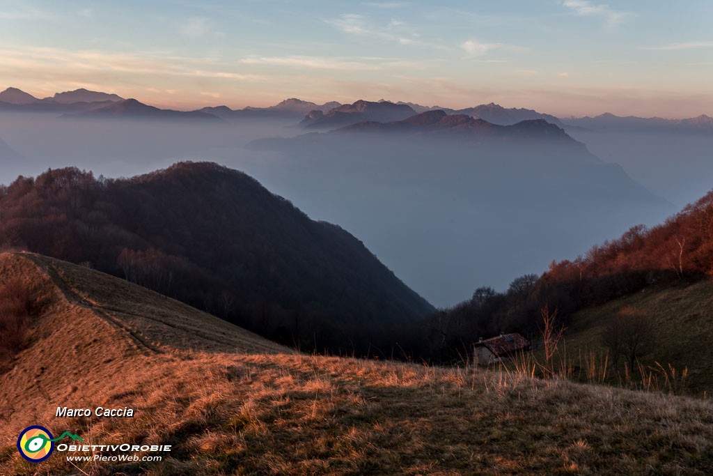 _MG_0501.JPG