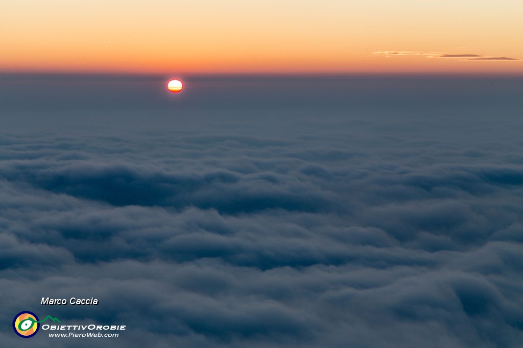 _MG_0528.JPG