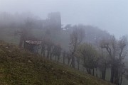 _MG_0398