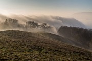 _MG_0402