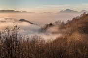 _MG_0437