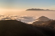 _MG_0440