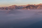 _MG_0464