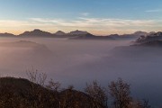 _MG_0467