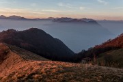 _MG_0501