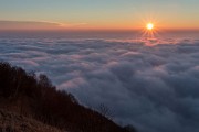 _MG_0504