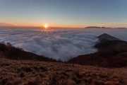 _MG_0509