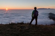 _MG_0516