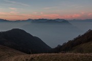 _MG_0537