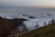 _MG_0543