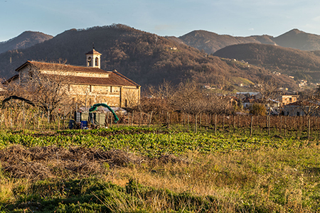 Giovedì 08 Dicembre – M.te Canto Alto – Prati Parini - FOTOGALLERY