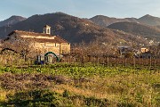 _MG_5441