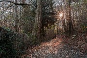 _MG_5457