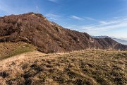 _MG_5502