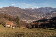 _MG_5517