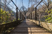 _MG_5521