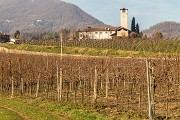 _MG_5552