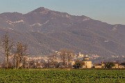 _MG_5556