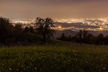 CANTO ALTO, tramonto tra i narcisi - 14 maggio 2012  - FOTOGALLERY