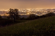 CANTO ALTO, tramonto tra i narcisi - 14 maggio 2012  - FOTOGALLERY