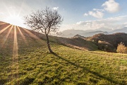 Tramonto al Canto Alto Domenica 10 novembre 2013 – Prati Parini – Canto Alto - FOTOGALLERY