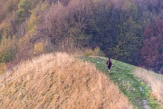 IMG_1668