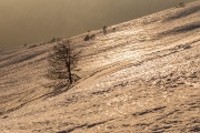 Domenica 09 marzo 2014 – Rif. Capanna 2000 -  FOTOGALLERY