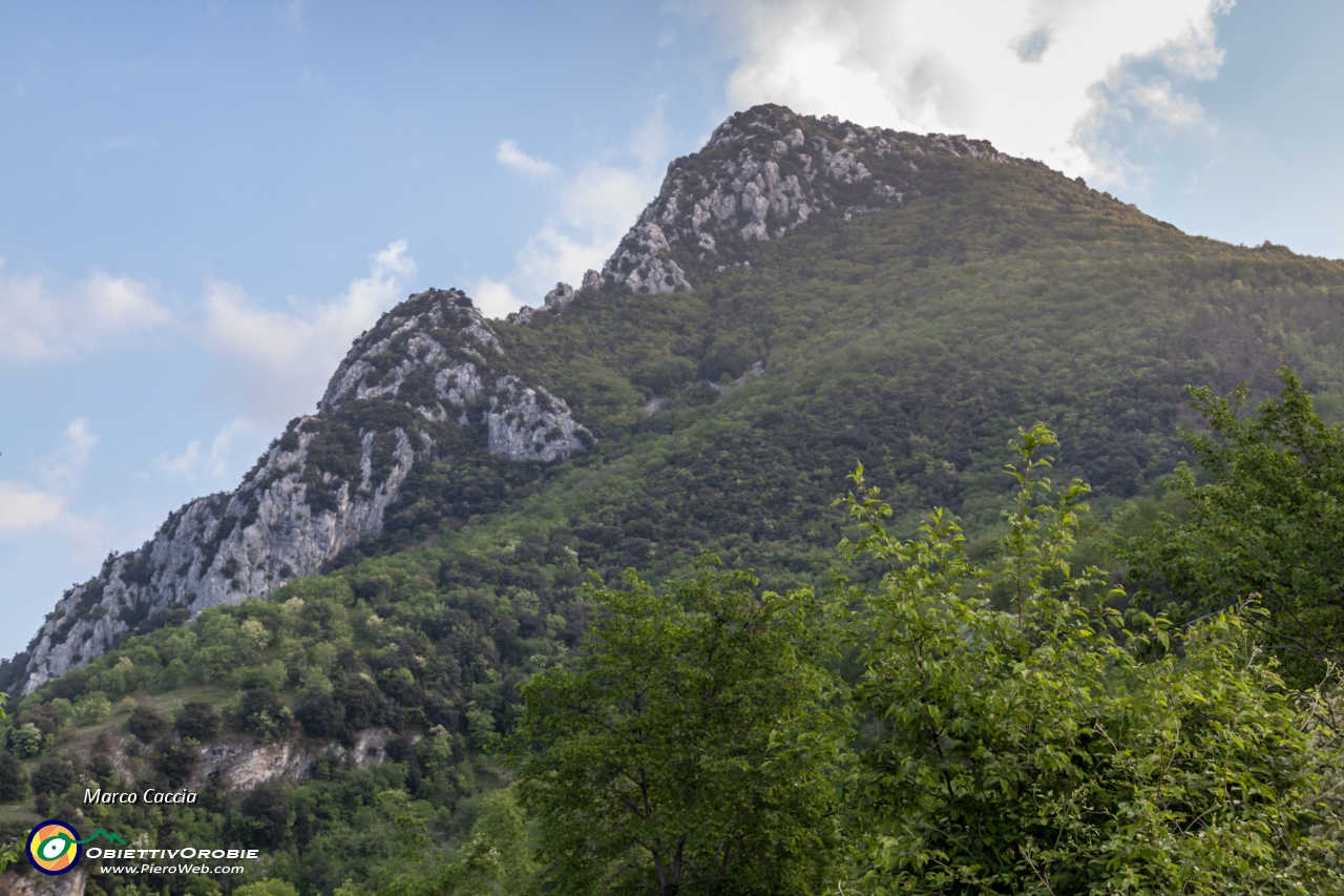 IMG_9405.JPG