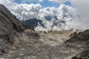 _MG_5527