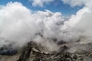 _MG_5563