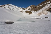 _MG_8684