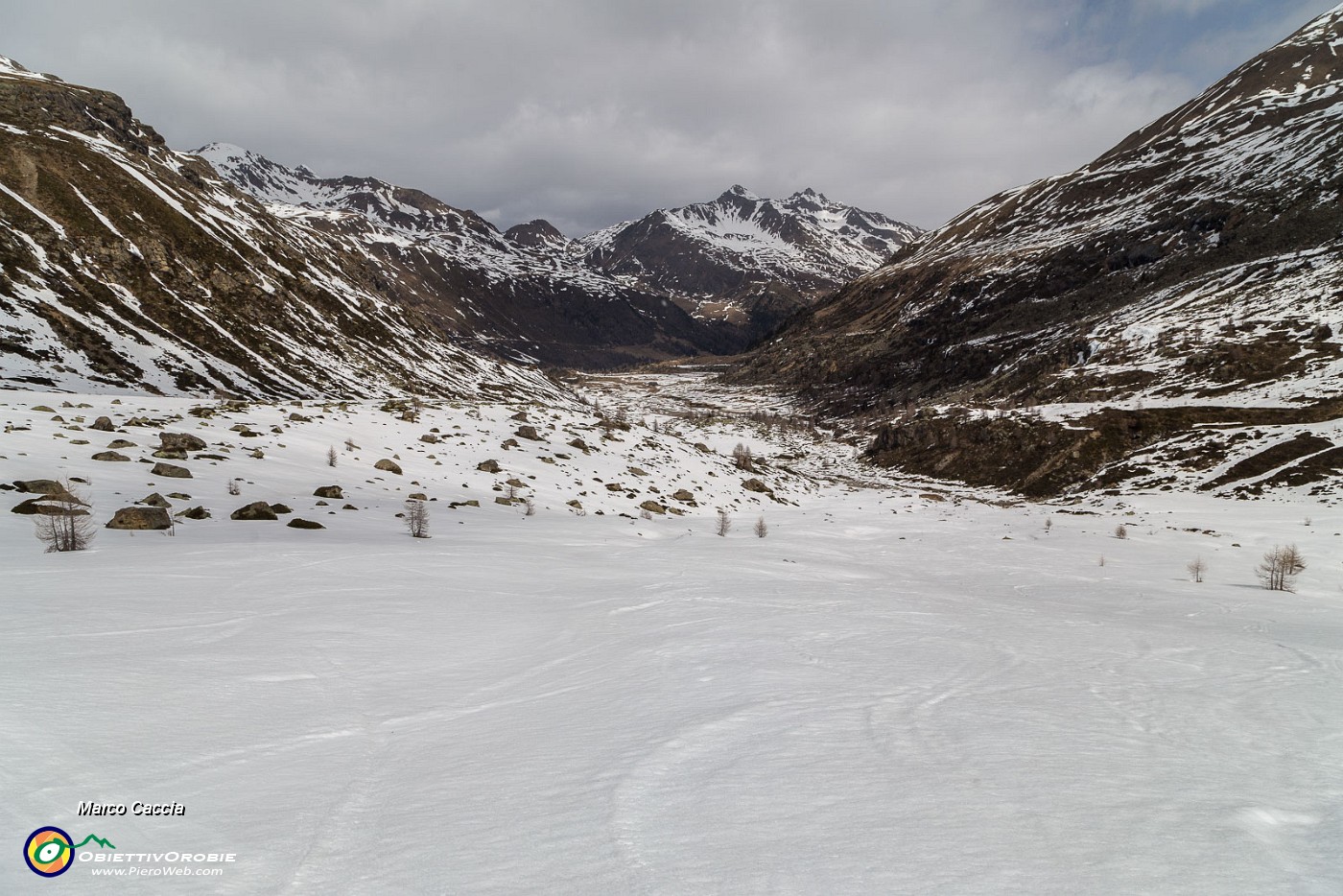 _MG_9940.JPG