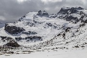 _MG_9949