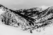 IMG_7688